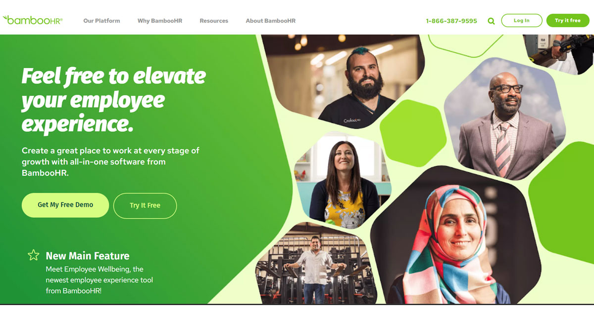 BambooHR Feel free to elevate your employee experience.